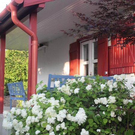 Nagymajor Birding Lodge Tiszacsege Esterno foto