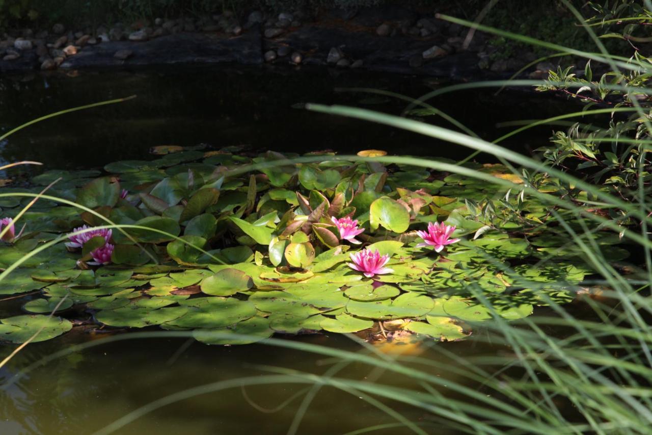 Nagymajor Birding Lodge Tiszacsege Esterno foto