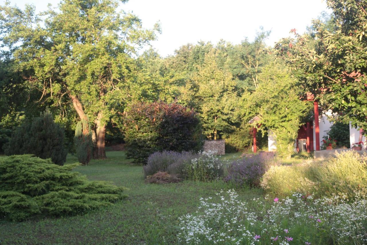 Nagymajor Birding Lodge Tiszacsege Esterno foto